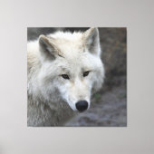 Wolf_015 Canvas Afdruk (Voorkant)
