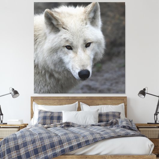 Wolf_015 Canvas Afdruk (Insitu (Slaapkamer))