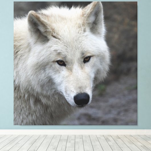 Wolf_015 Canvas Afdruk (Insitu (Houten vloer))