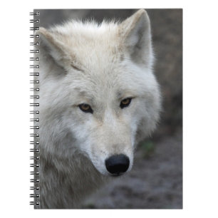 Wolf 015 notitieboek