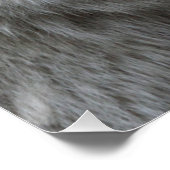 Wolf_015 Poster (Hoek)