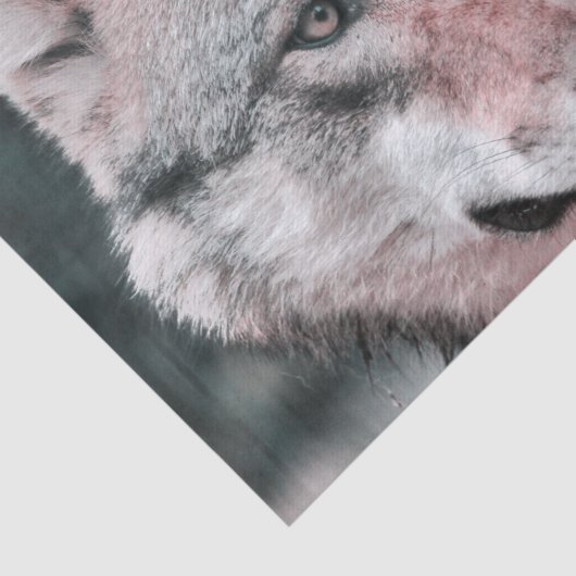 wolf 1115 tissuepapier (Detail)