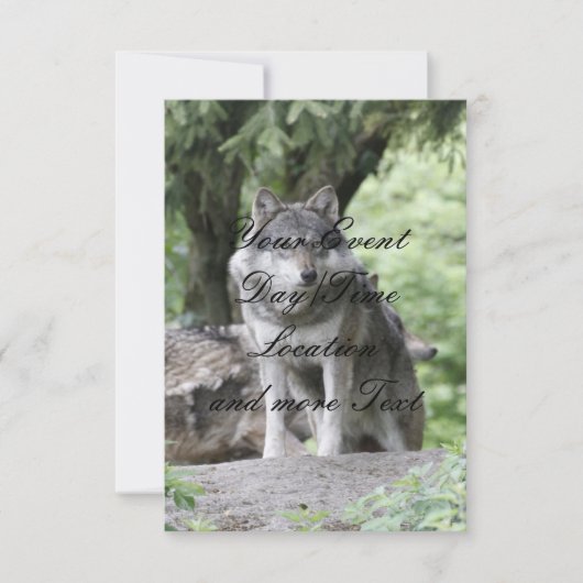 Wolf 14AJ Kaart (Voorkant)