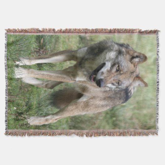Wolf 19 deken (Voorkant)
