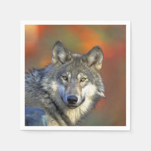 Wolf_2015_0301 Servetten (Voorkant)