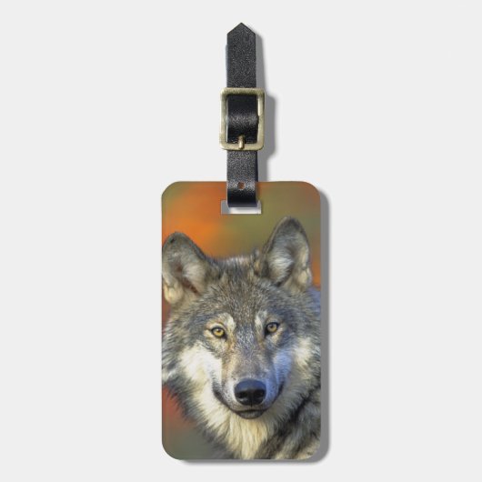 Wolf_2015_0302 Bagagelabel (Voorkant verticaal)