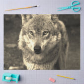 Wolf 215 tissuepapier (Craft)