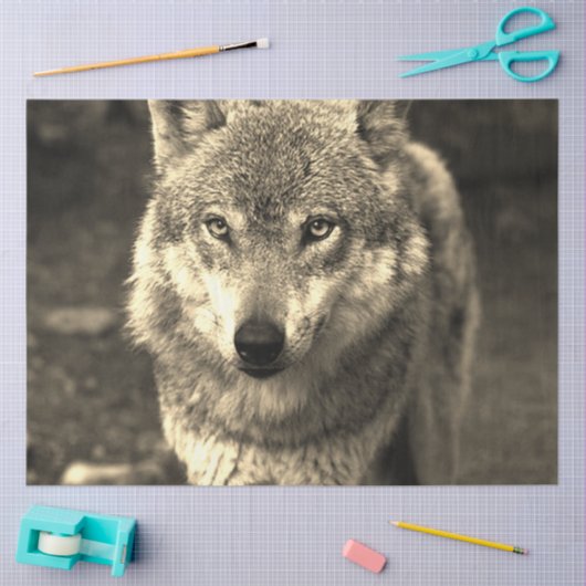 Wolf 215 tissuepapier (Craft)