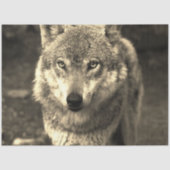 Wolf 215 tissuepapier (Voorkant)