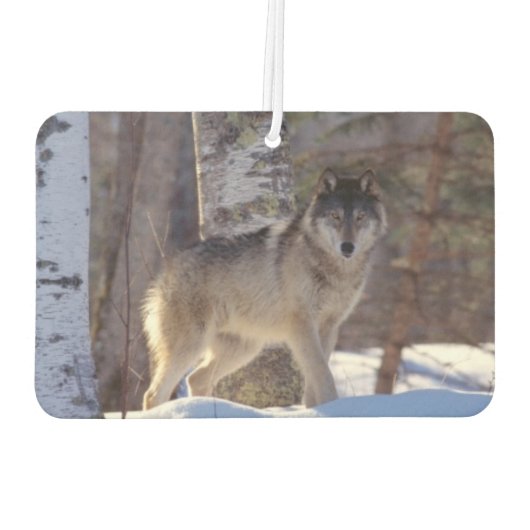 Wolf Air Freshener Luchtverfrisser (Achterkant)
