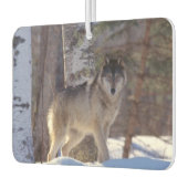 Wolf Air Freshener Luchtverfrisser (Links)
