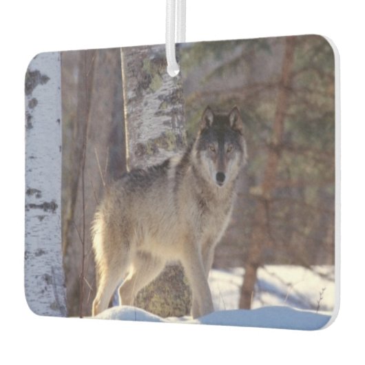 Wolf Air Freshener Luchtverfrisser (Links)