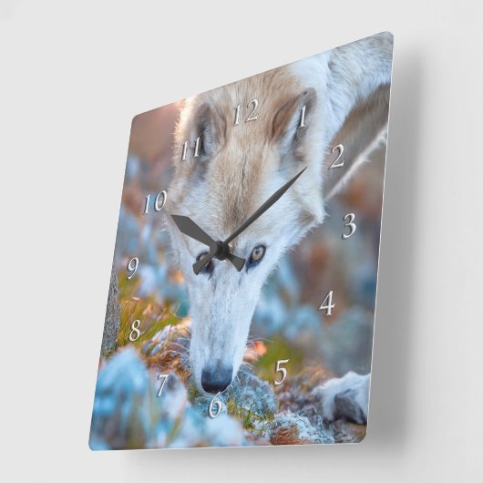 WOLF ALPINE TREKKER VIERKANTE KLOK (Hoek)