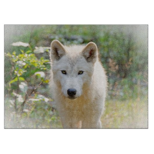 Wolf Animal Art, Canadese Wildlife Snijplank (Voorkant)