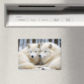 Wolf Animal Natuur Wildlife Affection Caring Magneet (Insitu (Vaatwasser))