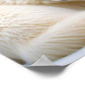 Wolf Animal Natuur Wildlife Affection Caring Poster (Hoek)