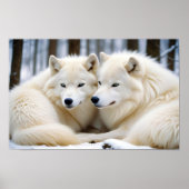 Wolf Animal Natuur Wildlife Affection Caring Poster (Voorkant)