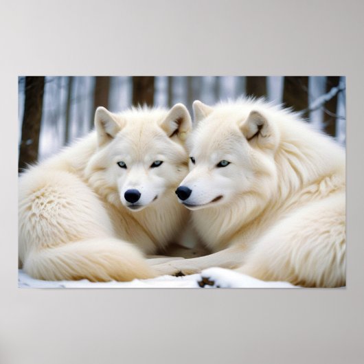Wolf Animal Natuur Wildlife Affection Caring Poster (Voorkant)