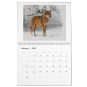 Wolf Art Calendar Kalender (Feb 2027)