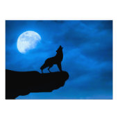 Wolf at Night Foto Afdruk (Voorkant)