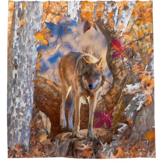 WOLF AUTUMN WAARNEMING DOUCHEGORDIJN (Voorkant)