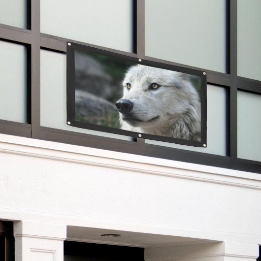 WOLF-banner Spandoek (Buitenkant Gebouw)