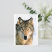 WOLF BESCHERMD DIER BRIEFKAART (Staand voorkant)