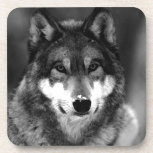 Wolf Bier Onderzetter