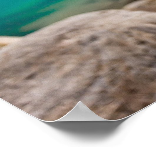 Wolf bij het Louise, Canadese Rockies Poster (Hoek)