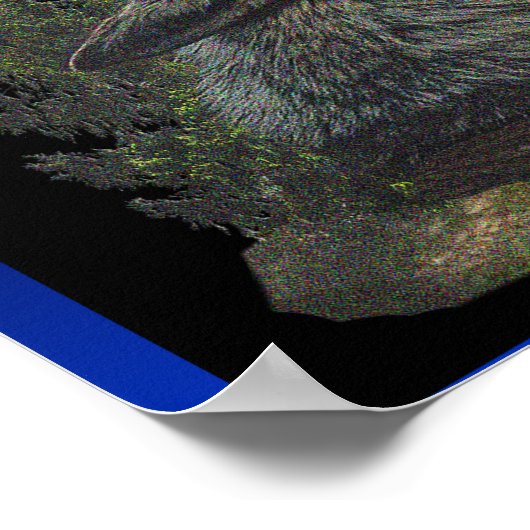 Wolf bij nacht poster (Hoek)