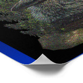 Wolf bij nacht poster (Hoek)