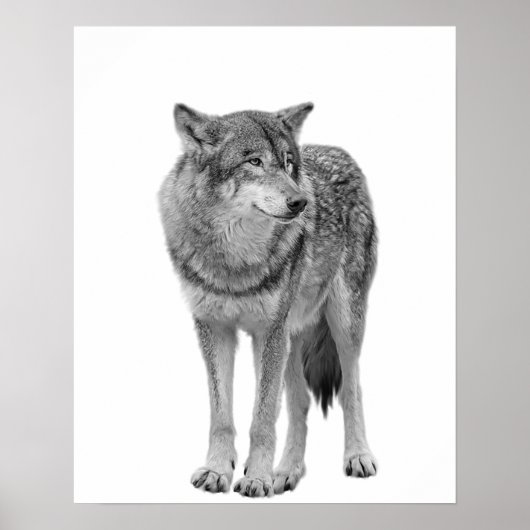 Wolf Black White Cabin Style Modern Poster (Voorkant)