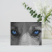 Wolf Blue Eyes Gothic Fantasy Briefkaart (Staand voorkant)