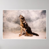 Wolf Bodypainting Illusion Poster (Voorkant)