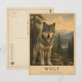 Wolf Boreaal Bos VINTAGE Briefkaart (Voorkant / Achterkant)