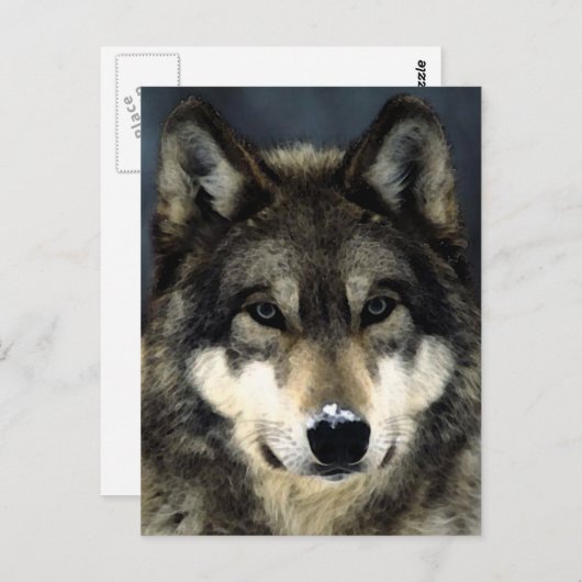 Wolf Briefkaart (Voorkant / Achterkant)