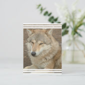Wolf Briefkaart (Staand voorkant)