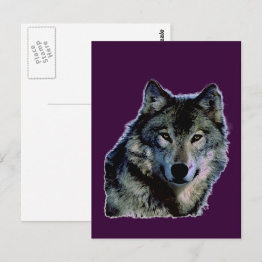 Wolf Briefkaart (Voorkant / Achterkant)