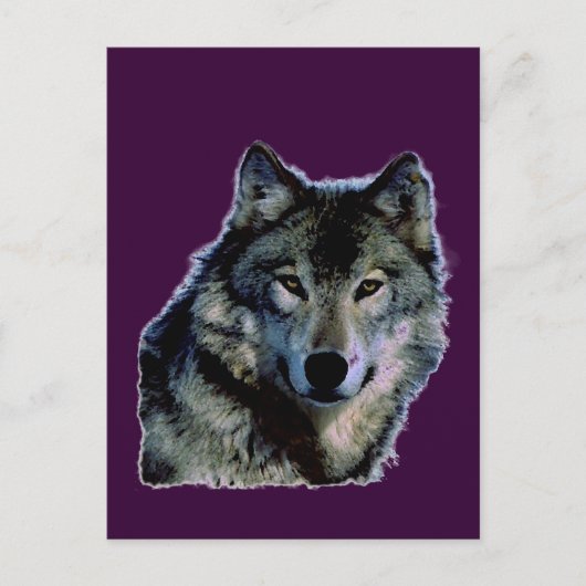 Wolf Briefkaart (Voorkant)