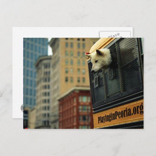 Wolf Briefkaart (Voorkant / Achterkant)