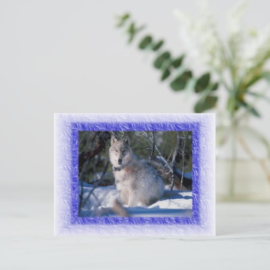 Wolf Briefkaart (Staand voorkant)