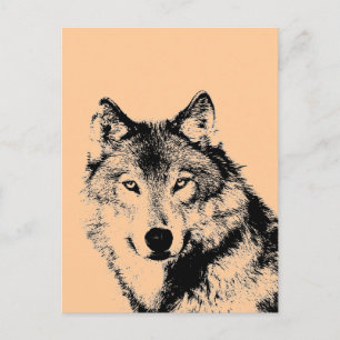 Wolf Briefkaart