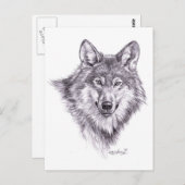 wolf briefkaart (Voorkant / Achterkant)