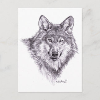 wolf briefkaart