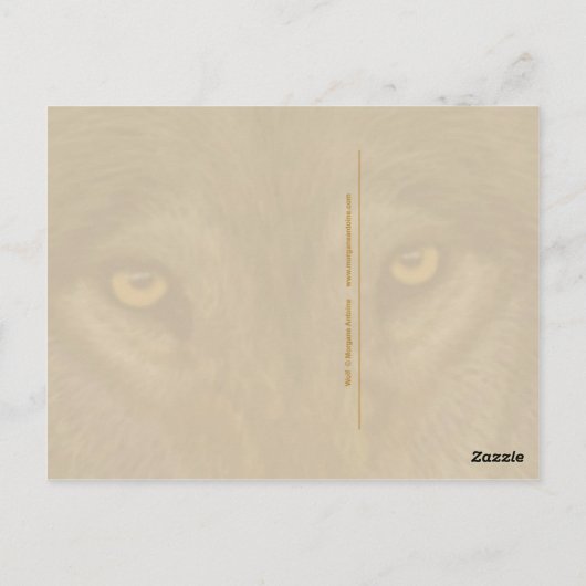 Wolf briefkaart (Achterkant)