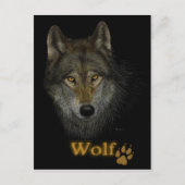 Wolf briefkaart (Voorkant)
