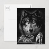 wolf briefkaart (Voorkant / Achterkant)