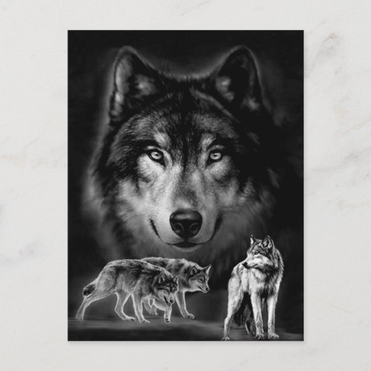 wolf briefkaart (Voorkant)