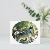 Wolf Briefkaart (Staand voorkant)