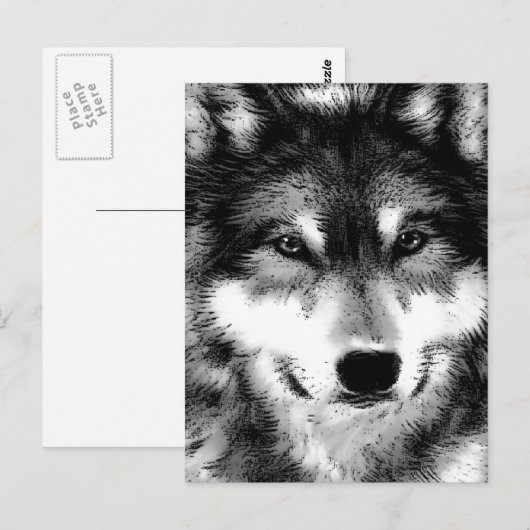 Wolf Briefkaart (Voorkant / Achterkant)